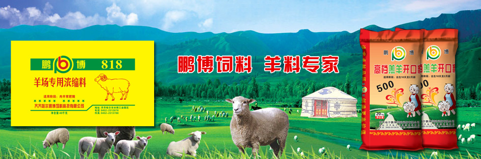 鵬博飼料，羊料專(zhuān)家